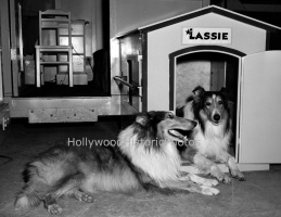 Lassie 1943